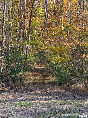 880 S Rocky Comfort Road, Makanda, IL 62958