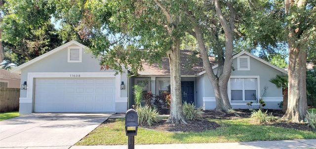 11608 WELLMAN DRIVE, Riverview, FL 33578