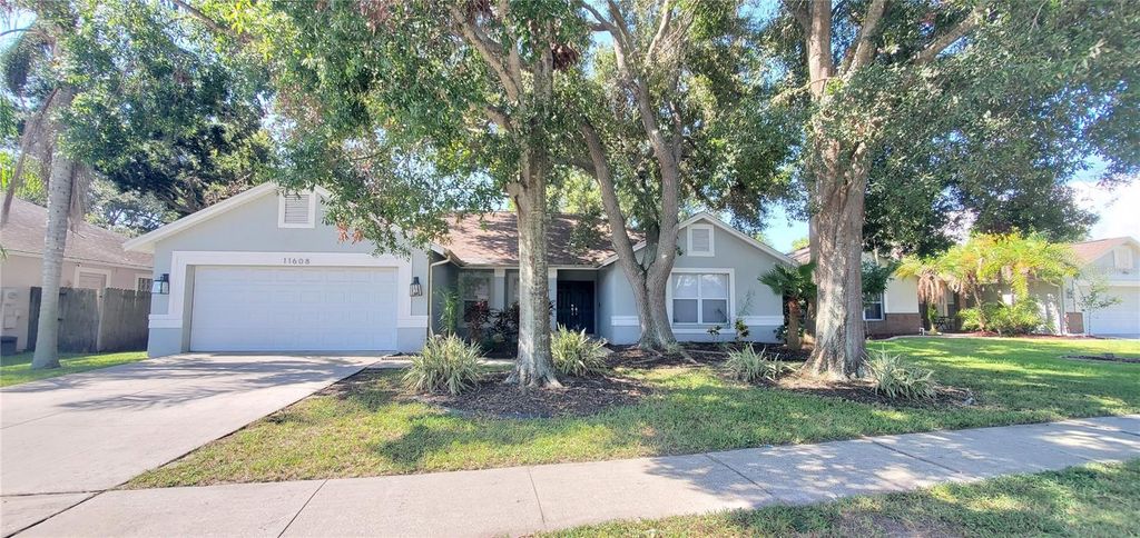 11608 WELLMAN DRIVE, Riverview, FL 33578