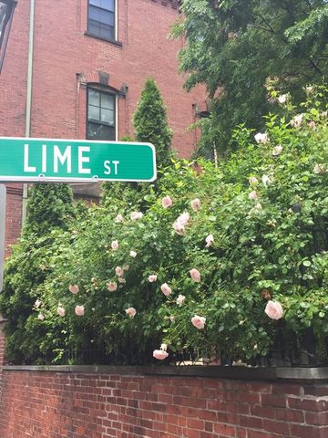 20 Lime Street 3, Boston, MA 02108