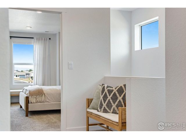 380 Tailholt Ave, Severance, CO 80550