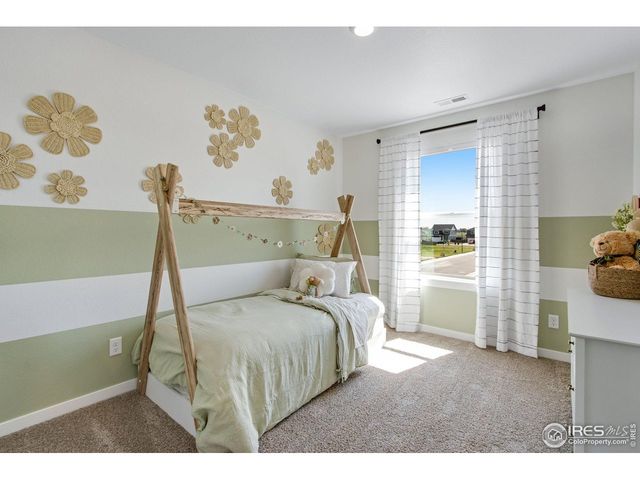 380 Tailholt Ave, Severance, CO 80550