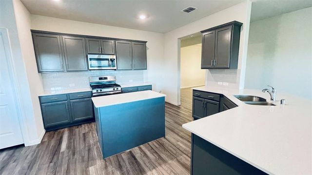 1308 Renoir Drive, Little Elm, TX 75068