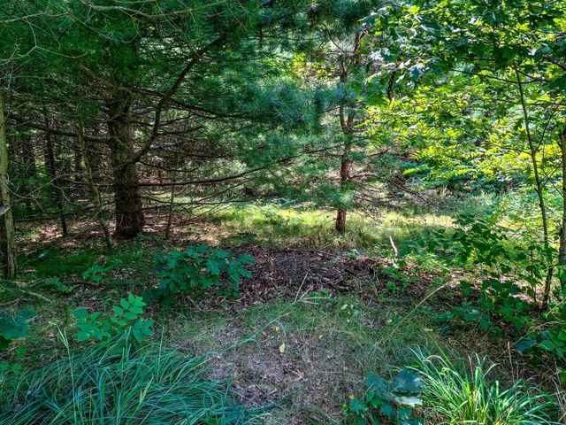 2068 & 2098 Timber Lane, Harrison, MI 48625