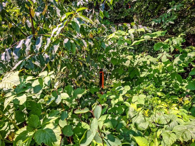 2068 & 2098 Timber Lane, Harrison, MI 48625