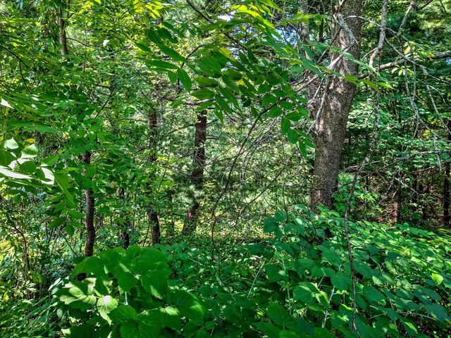 2068 & 2098 Timber Lane, Harrison, MI 48625