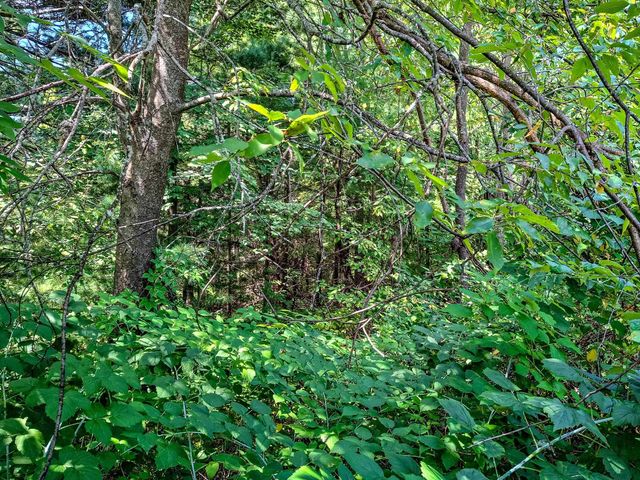 2068 & 2098 Timber Lane, Harrison, MI 48625