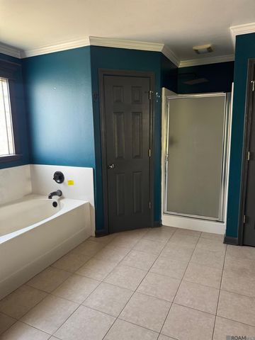 12789 Bonnie Bleu Dr, Denham Springs, LA 70726