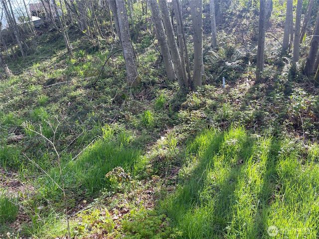 3911 SW Dash Point Rd, Federal Way, WA 98023