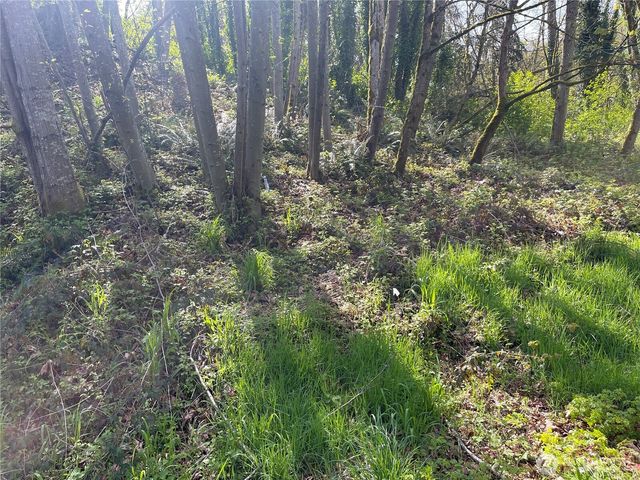 3911 SW Dash Point Rd, Federal Way, WA 98023