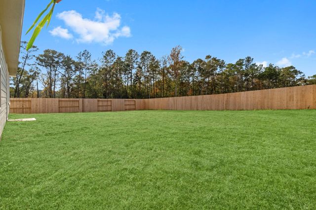 16031 Tallis Drive, Conroe, TX 77303