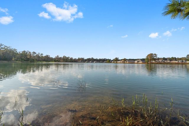 16031 Tallis Drive, Conroe, TX 77303