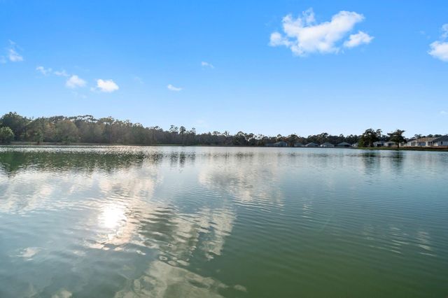 16031 Tallis Drive, Conroe, TX 77303