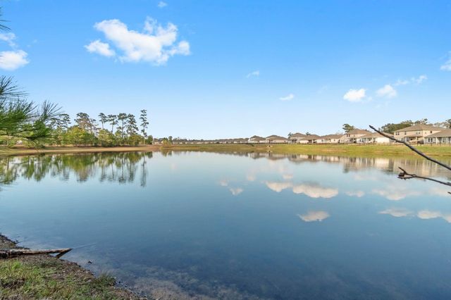 16031 Tallis Drive, Conroe, TX 77303