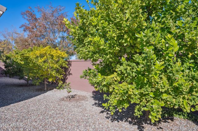 401 W BASSWOOD Avenue, San Tan Valley, AZ 85140