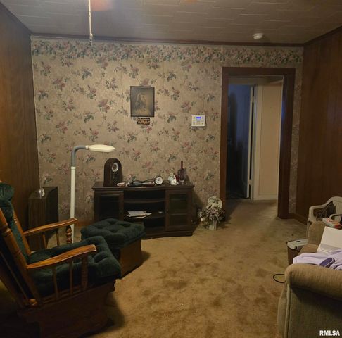 1317 W CHERRY Street, Herrin, IL 62948