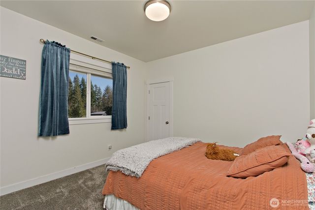 380 Hopkins Court, Carbonado, WA 98323