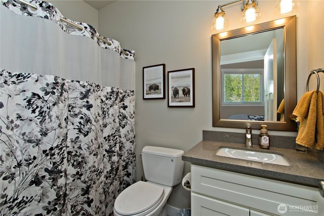 380 Hopkins Court, Carbonado, WA 98323