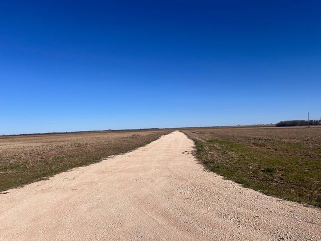 195 Donnas Lane, Trent, TX 79561