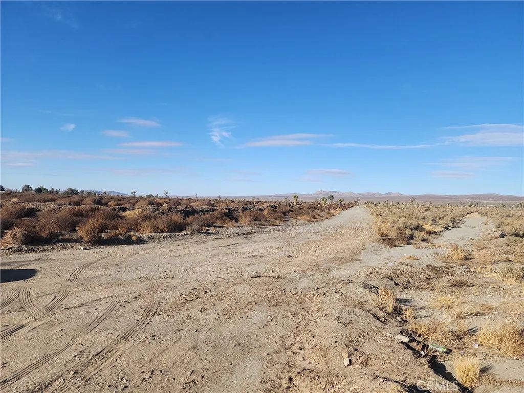 10000 El Mirage, Adelanto, CA 92301