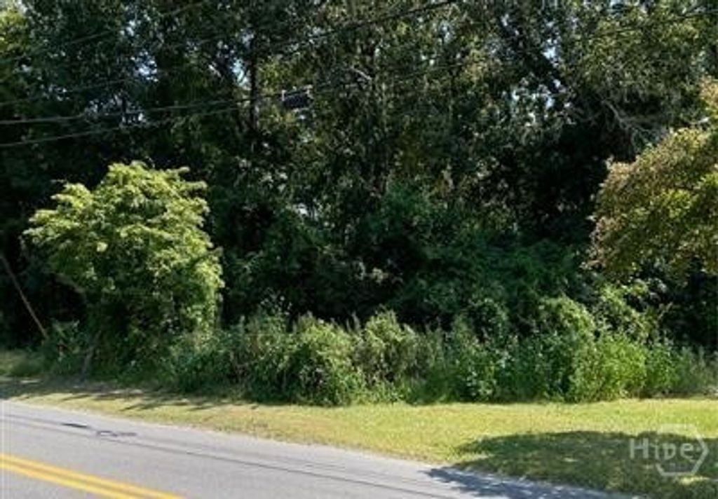 Image 1 of property listing at 0 Fair Street, Savannah, GA 31408