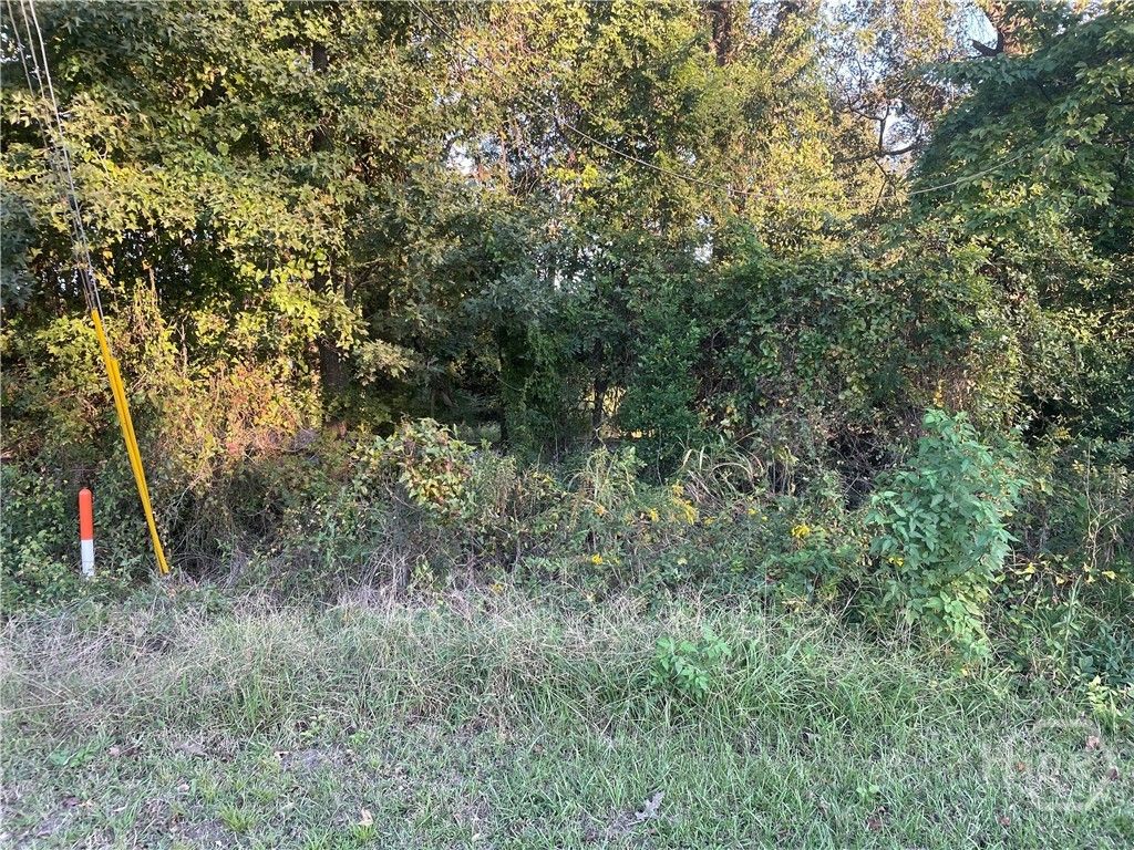 Image 2 of property listing at 0 Fair Street, Savannah, GA 31408