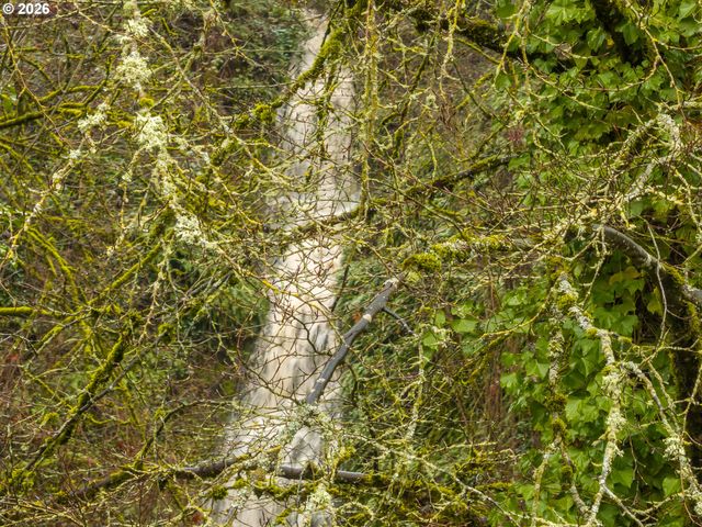 5135 Nw SAINT HELENS Rd, Portland, OR 97210