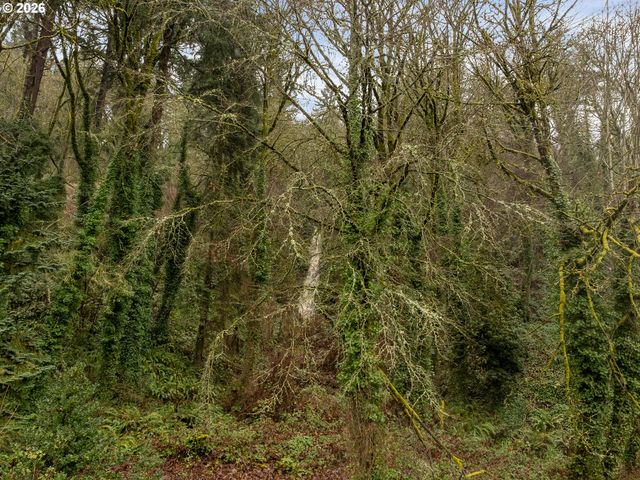 5135 Nw SAINT HELENS Rd, Portland, OR 97210