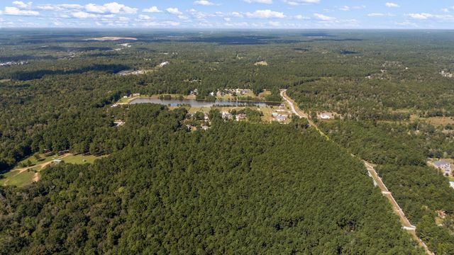 21346 Big Buck Drive, Cleveland, TX 77328