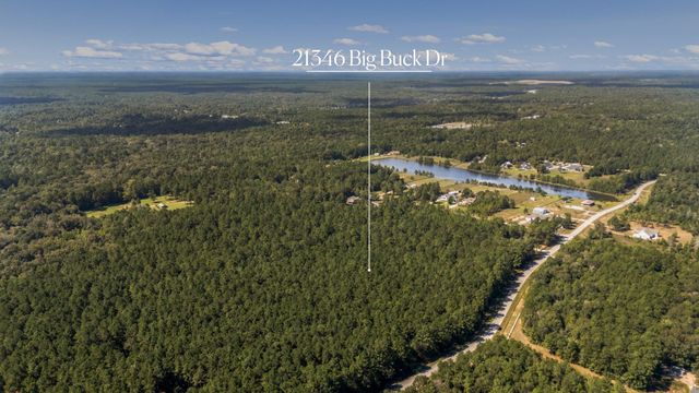 21346 Big Buck Drive, Cleveland, TX 77328