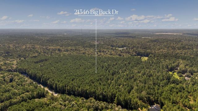 21346 Big Buck Drive, Cleveland, TX 77328