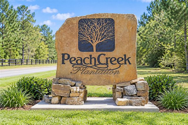 21346 Big Buck Drive, Cleveland, TX 77328
