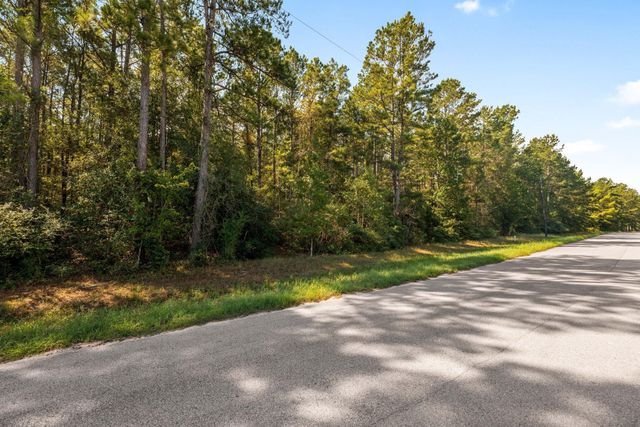21346 Big Buck Drive, Cleveland, TX 77328