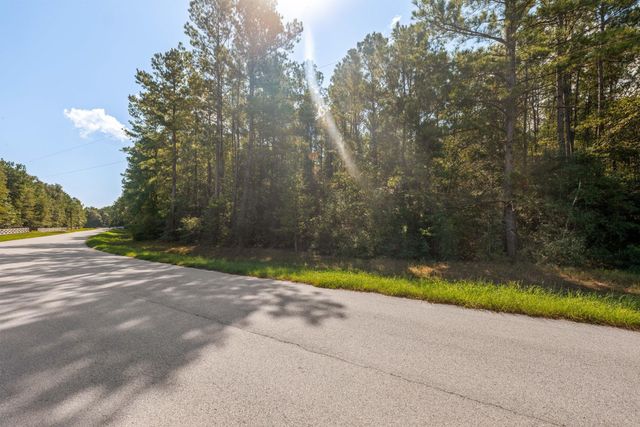 21346 Big Buck Drive, Cleveland, TX 77328