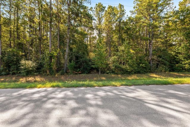 21346 Big Buck Drive, Cleveland, TX 77328