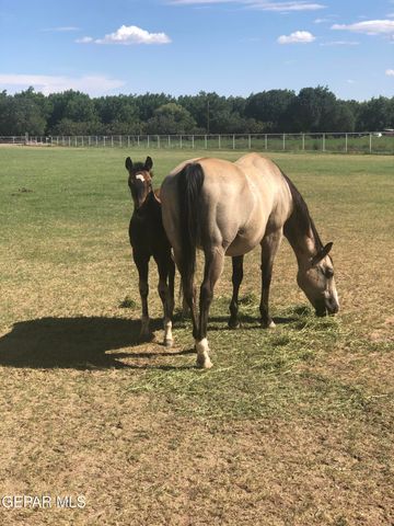 7770 WESTSIDE Drive, Canutillo, TX 79835