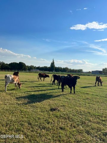 7770 WESTSIDE Drive, Canutillo, TX 79835