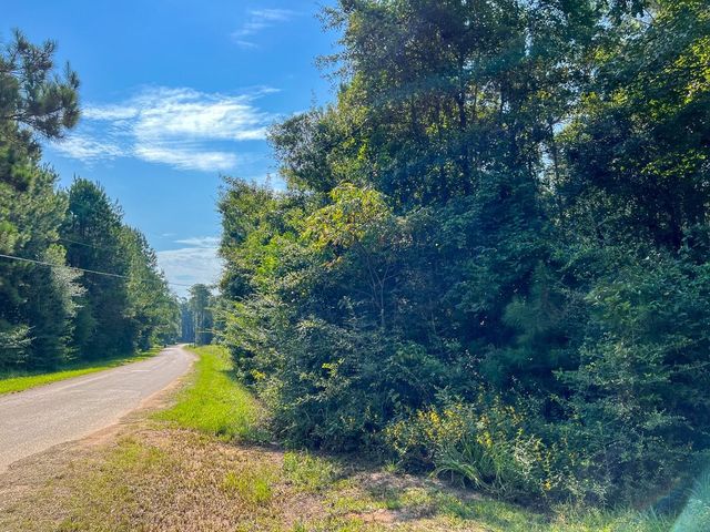 3 County Road 1325, Warren, TX 77664
