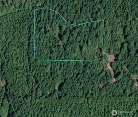 1741 NE Hahobas Drive, Tahuya, WA 98588