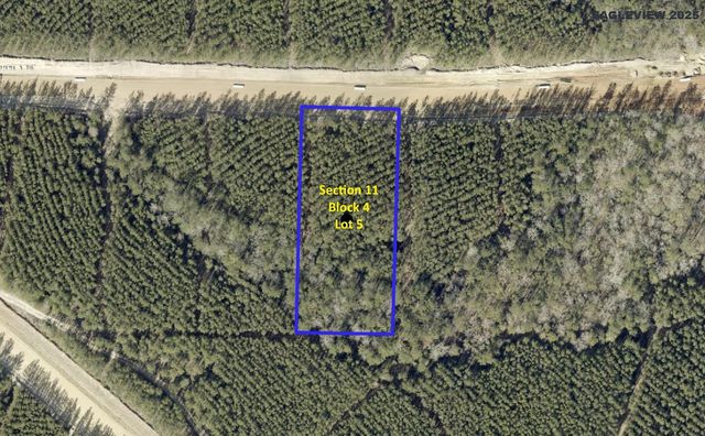15948 Forest Grove Drive, Willis, TX 77378