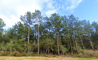15948 Forest Grove Drive, Willis, TX 77378