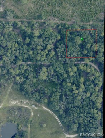 7065 W Rainbow Street, Dunnellon, FL 34433