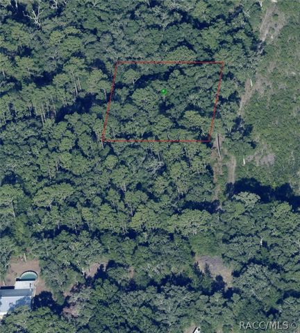 7065 W Rainbow Street, Dunnellon, FL 34433