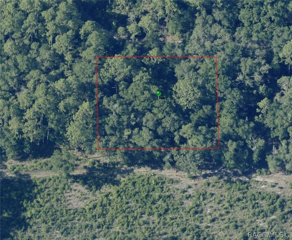 7065 W Rainbow Street, Dunnellon, FL 34433