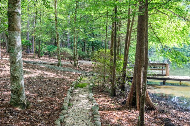 290 Hickory Hills Loop, Purvis, MS 39475