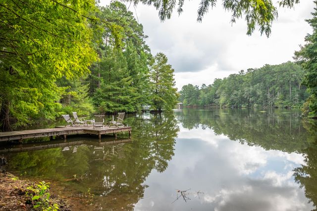 290 Hickory Hills Loop, Purvis, MS 39475