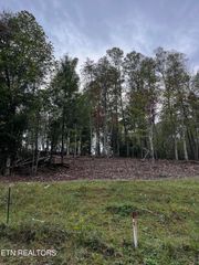 Lot 1 Old Tanner Cemetery Rd, Crossville, TN 38571