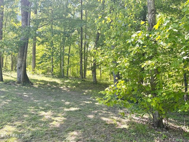 320 Reed Place, Monterey, TN 38574