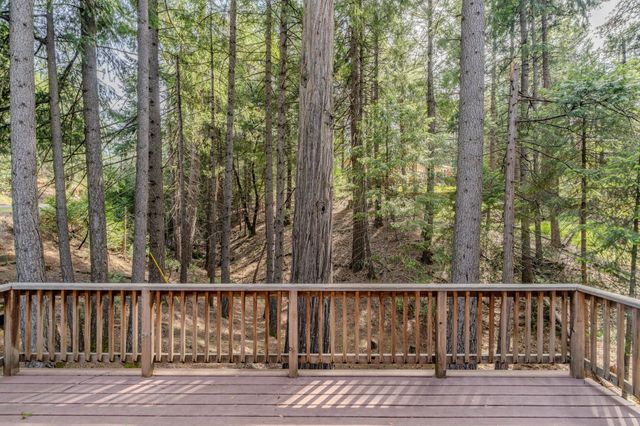 26034 Meadow Dr, Pioneer, CA 95666