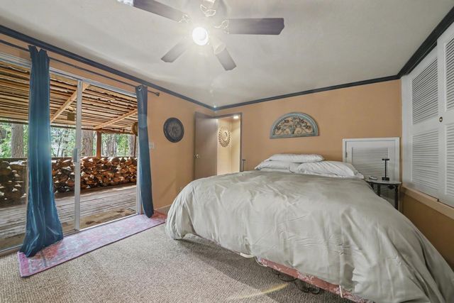 26034 Meadow Dr, Pioneer, CA 95666